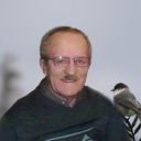 Vézina, Roland