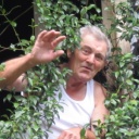 Del Mei, Pietro