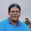 Paradis, Mario