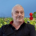 Gosselin, Fernand