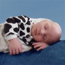 Massicotte, Bébé Ludwing